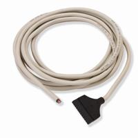 գAMP I/O